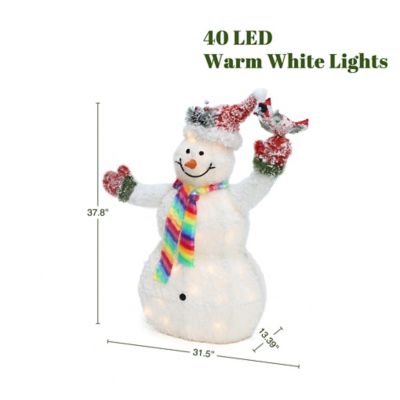 Image showing  3 ft. Lighted Snowman with Bird, Festive Outdoor Christmas Display