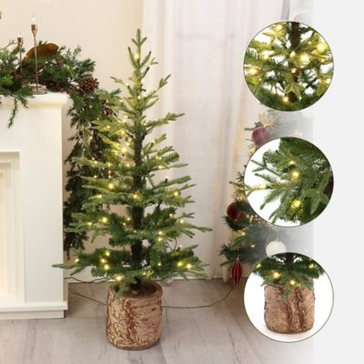 Image showing  4 ft. Pre-Lit Winter Green Artificial Evergreen Christmas Tree Potted