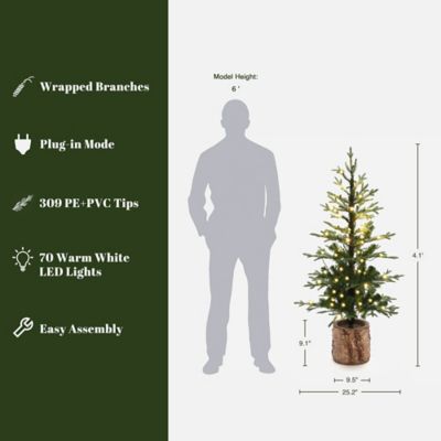 Image showing  4 ft. Pre-Lit Winter Green Artificial Evergreen Christmas Tree Potted