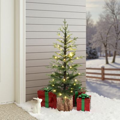 Image showing  4 ft. Pre-Lit Winter Green Artificial Evergreen Christmas Tree Potted