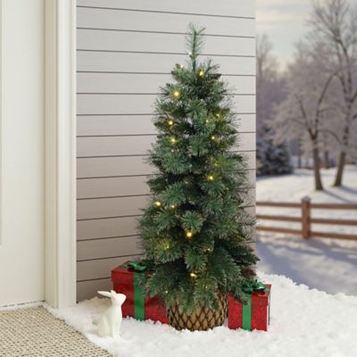 Image showing  4 ft. Pre-Lit Christmas Tree with 50 LED Lights, Glittered Branches & Woven Base