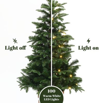 Image showing  4 ft. Pre-Lit Green Artificial Christmas Tree with Round Wood Pot