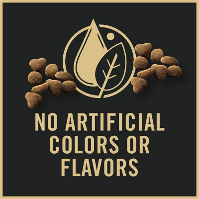 Image showing  Complete Essentials Kitten Formula