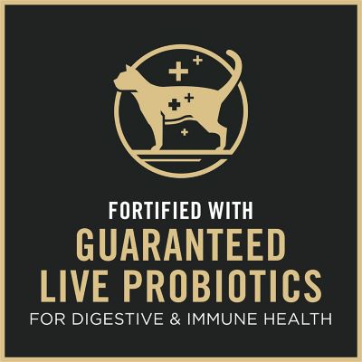 Image showing  Complete Essentials Kitten Formula