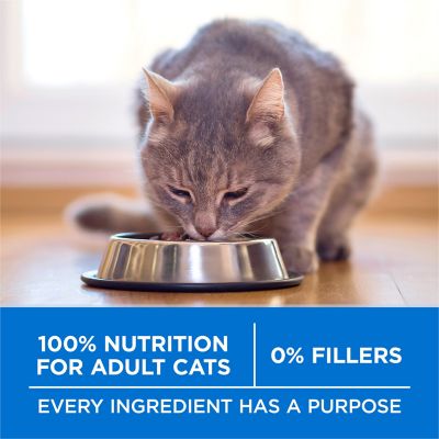 Image showing 6 th Purina ONE Plus High Protein Salmon and Ocean Whitefish Skin and Coat Health Formula Cat Kibble