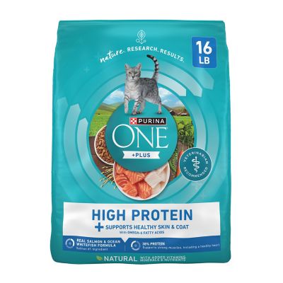 Purina ONE Skin and Coat Health Formula medium