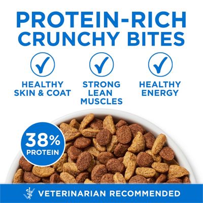 Image showing  Plus High Protein Salmon and Ocean Whitefish Skin and Coat Health Formula Cat Kibble