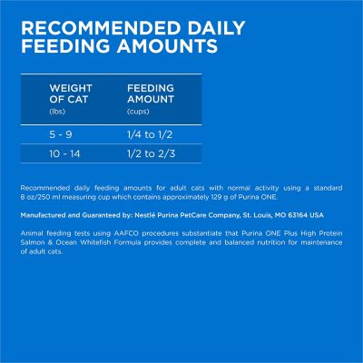 Image showing 5 th Purina ONE Plus High Protein Salmon and Ocean Whitefish Skin and Coat Health Formula Cat Kibble