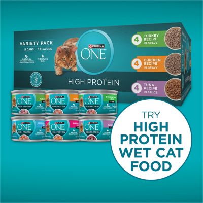 Image showing 7 th Purina ONE Plus High Protein Salmon and Ocean Whitefish Skin and Coat Health Formula Cat Kibble