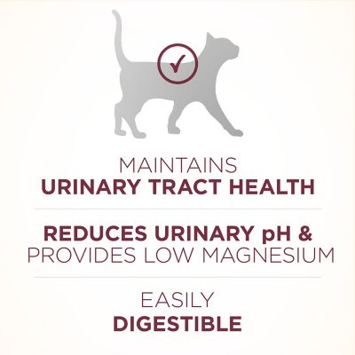 Image showing  +Plus Urinary Tract Health Formula