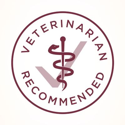 Image showing 6 th Purina ONE All Life Stages Indoor/Outdoor High-Protein Plus Urinary Tract Health Chicken Formula Dry Cat Food