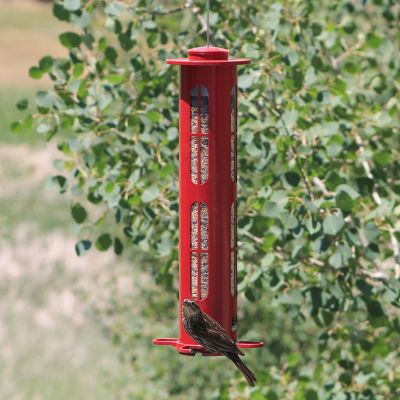 Image showing  2.5 lb. X8 Squirrel-Resistant Bird Feeder