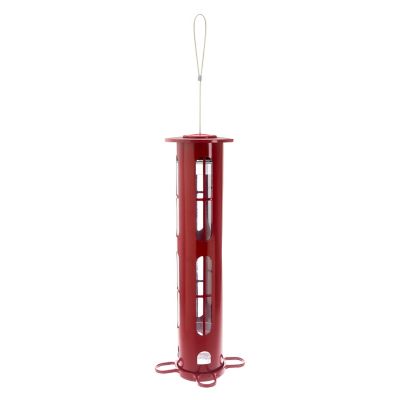 Image showing  2.5 lb. X8 Squirrel-Resistant Bird Feeder
