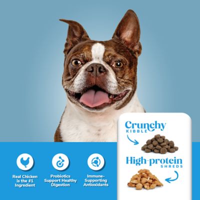 Image showing  Small Breed Adult Chicken Recipe Dry Dog Food