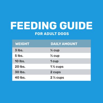 Image showing  Small Breed Adult Chicken Recipe Dry Dog Food