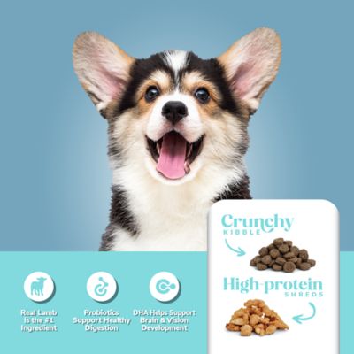 Image showing  Puppy Lamb Recipe Dry Dog Food