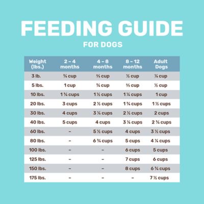 Image showing 4 th 4health Shreds Puppy Lamb Recipe Dry Dog Food