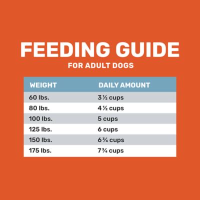 Image showing  Large Breed Adult Chicken Recipe Dry Dog Food
