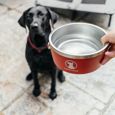 Image showing  Indulge Dog Bowl Pet Bundle