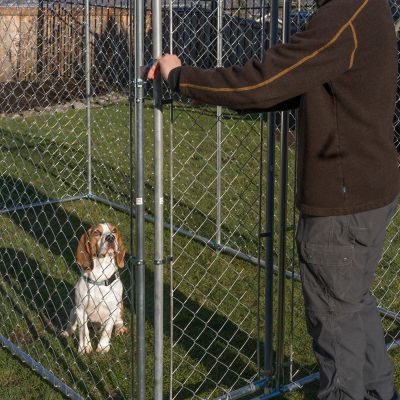 Image showing 8 th Lucky Dog 5 ft. x 10 ft. Galvanized Chain Link Kennel DIY Boxed Kit