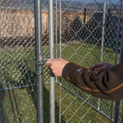 Image showing 7 th Lucky Dog 5 ft. x 15 ft. Galvanized Chain Link Kennel DIY Boxed 2in1 Kit