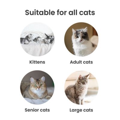 Image showing 6 th PawsPik Stainless Steel Cat Litter Box with Steps & Metal Scooper, X-Large, 2 pack