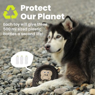 Image showing  2-in-1 Sleepy Sloth Flying Disc & Tug Dog Toy