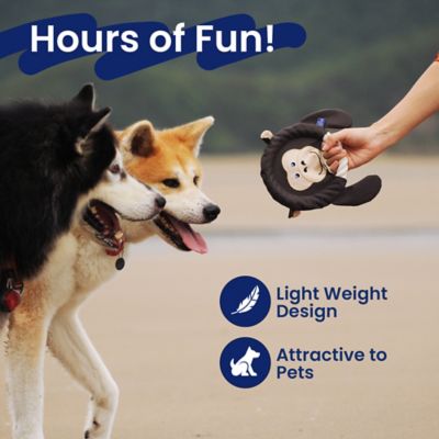 Image showing  2-in-1 Red Fierce Fox Flying Disc & Tug Dog Toy