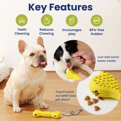 Image showing  Bone Treat Dispensing Enrichment Dog Chew Toy