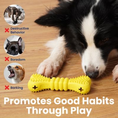 Image showing  Bone Treat Dispensing Enrichment Dog Chew Toy
