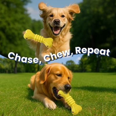 Image showing  Bone Treat Dispensing Enrichment Dog Chew Toy