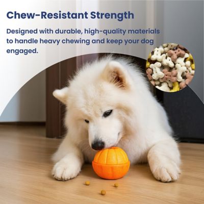 Image showing  2-in-1 Rolling Treat Dispenser & Frozen Lick Enrichment Doy Toy, Orange, Small