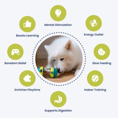 Image showing  Dual Sphere Treat-Dispensing Rolling Dog Toy