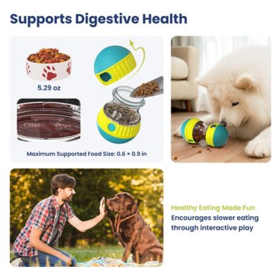 Image showing  Dual Sphere Treat-Dispensing Rolling Dog Toy