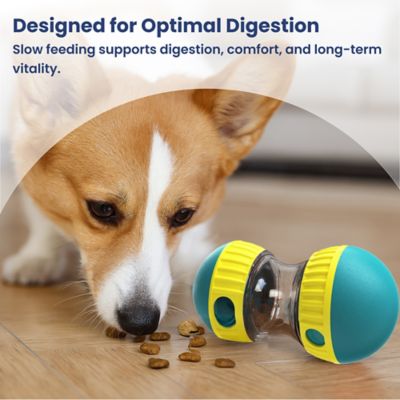 Image showing 5 th PawsPik Dual Sphere Treat-Dispensing Rolling Dog Toy