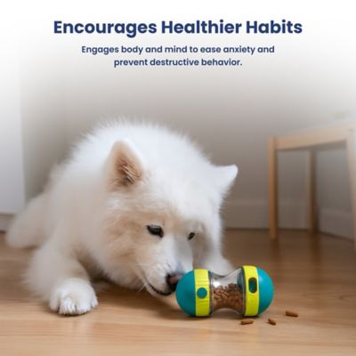 Image showing 7 th PawsPik Dual Sphere Treat-Dispensing Rolling Dog Toy