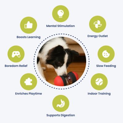 Image showing  Dual Sphere Treat-Dispensing Rolling Dog Toy