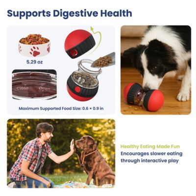 Image showing  Dual Sphere Treat-Dispensing Rolling Dog Toy