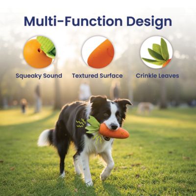 Image showing 2 th PawsPik Carrot Natural Rubber Dog Chew Toy