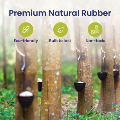 Image showing 3 th PawsPik Carrot Natural Rubber Dog Chew Toy