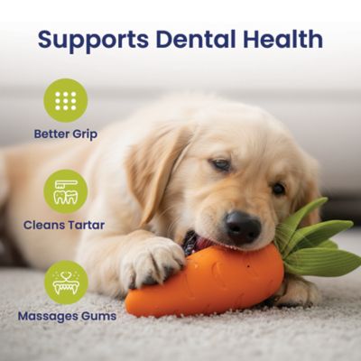 Image showing 4 th PawsPik Carrot Natural Rubber Dog Chew Toy