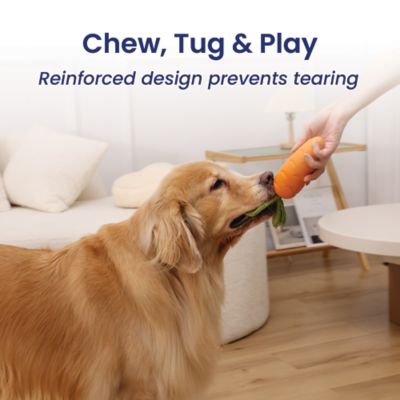 Image showing 5 th PawsPik Carrot Natural Rubber Dog Chew Toy