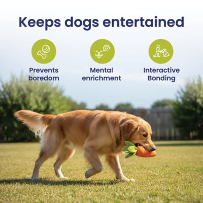 Image showing 6 th PawsPik Carrot Natural Rubber Dog Chew Toy