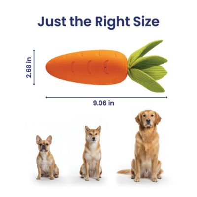 Image showing 7 th PawsPik Carrot Natural Rubber Dog Chew Toy