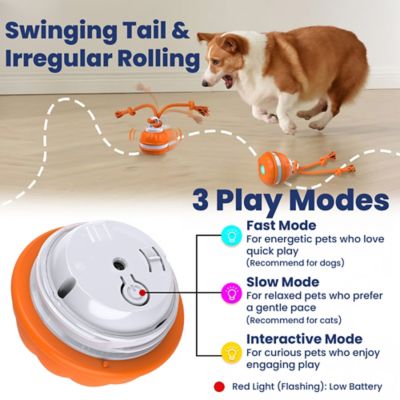 Image showing  Rope Runner Interactive Squeaky Rechargeable Small Dog Ball & Rope Toy, Orange, Small