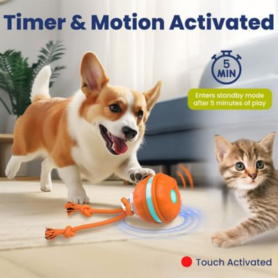 Image showing  Rope Runner Interactive Squeaky Rechargeable Small Dog Ball & Rope Toy, Orange, Small