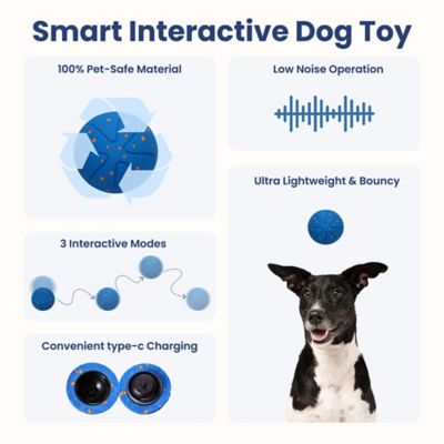 Image showing  Smart Bounce Interactive Dog Toy, Small