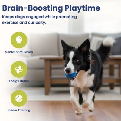 Image showing 5 th PawsPik Smart Bounce Interactive Dog Toy, Small