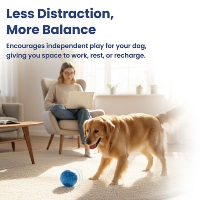 Image showing 6 th PawsPik Smart Bounce Interactive Dog Toy, Small