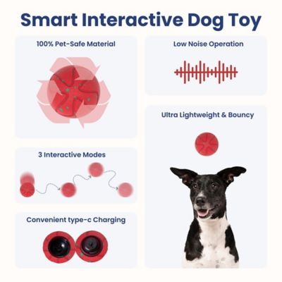 Image showing  Smart Bounce Interactive Dog Toy, Small